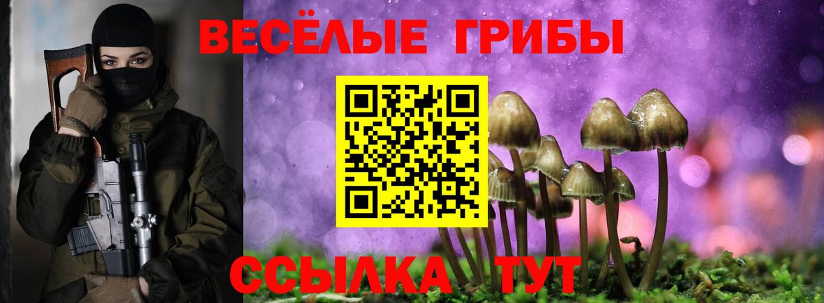 что такое наркотик  Галлюциногенные грибы прущие грибы  Вход с VPN  Грозный 