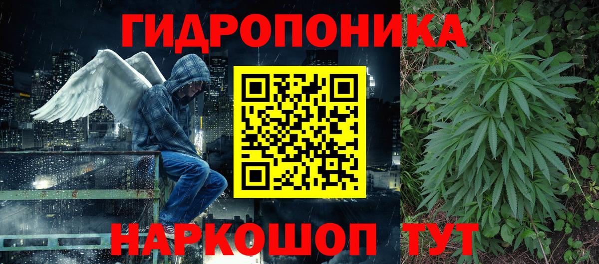 Канабис Ganja Грозный